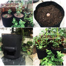 Greenhouse Plant Grow Bags Home Garden for Vegetables - What A Decor