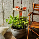 Wooden Round & Foldable Outdoor Wine Table