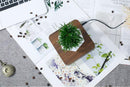 Levitating Air Bonsai Pot Magnetic Levitation Suspension Flower Pot - What A Decor