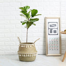Handmade Seagrass Storage Baskets - What A Decor
