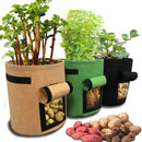 Greenhouse Plant Grow Bags Home Garden for Vegetables - What A Decor