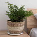 3Pcs Woven Flower Pot Durable Natural Flower Pot Planter Decoration