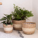 3Pcs Woven Flower Pot Durable Natural Flower Pot Planter Decoration
