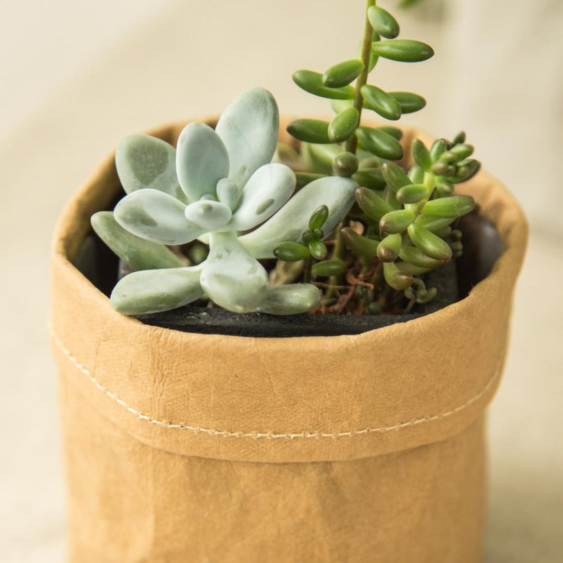 paper bag plant pot Planter Pot Washable Kraft Paper Flowerpot with Waterproof Inside Bag