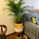 Natural Hand-Woven Rattan Plant Stand