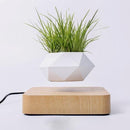 Levitating Air Bonsai Pot Magnetic Levitation Suspension Flower Pot - What A Decor