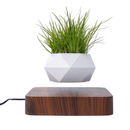 Levitating Air Bonsai Pot Magnetic Levitation Suspension Flower Pot - What A Decor