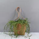 Kraft Paper Hanging Flower Pots With Faux-Leather Hand Strap