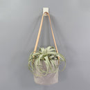 Kraft Paper Hanging Flower Pots With Faux-Leather Hand Strap