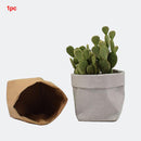 Kraft Paper Washable Bag- Flower Pot, Make Up Holder, Desk Bag