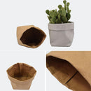 Kraft Paper Washable Bag- Flower Pot, Make Up Holder, Desk Bag