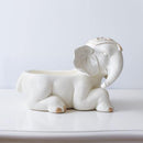 3D Elephant Resin Handpainted Sculpture Key Storage - What A Decor
