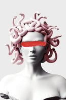 Modern Medusa Printed Canvas Art Wall Decor Modern Style