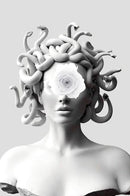 Modern Medusa Printed Canvas Art Wall Decor Modern Style