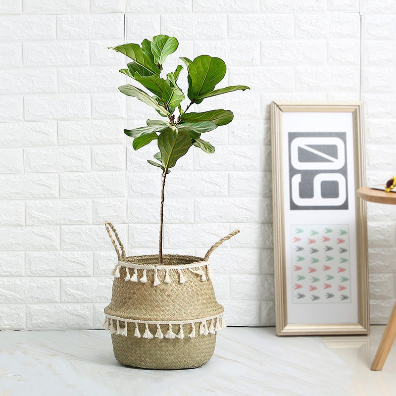 Handmade Seagrass Storage Baskets - What A Decor
