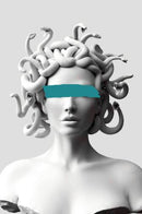 Modern Medusa Printed Canvas Art Wall Decor Modern Style