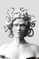 Modern Medusa Printed Canvas Art Wall Decor Modern Style