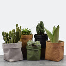 Kraft Paper Washable Bag- Flower Pot, Make Up Holder, Desk Bag