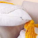 Luxury Boho Pillow Cover Tuft Embroidery Pillolow Case Home Decor Luxury Cushion Cover