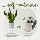 Self Watering Flower Pot
