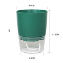 Self Watering Flower Pot