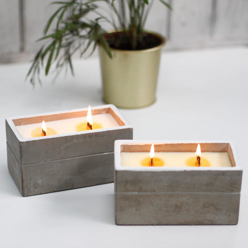 Wooden Wick Concrete Candle- Large Box - Spiced South Sea Lime - What A Decor